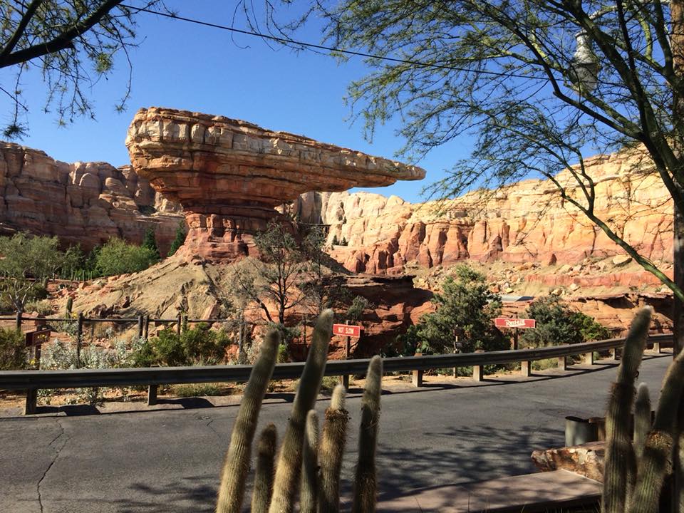 29573012_10211300662694043_724699150326369479_n