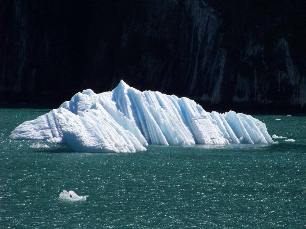 26025863_10210602000267919_4980351835274079165_o