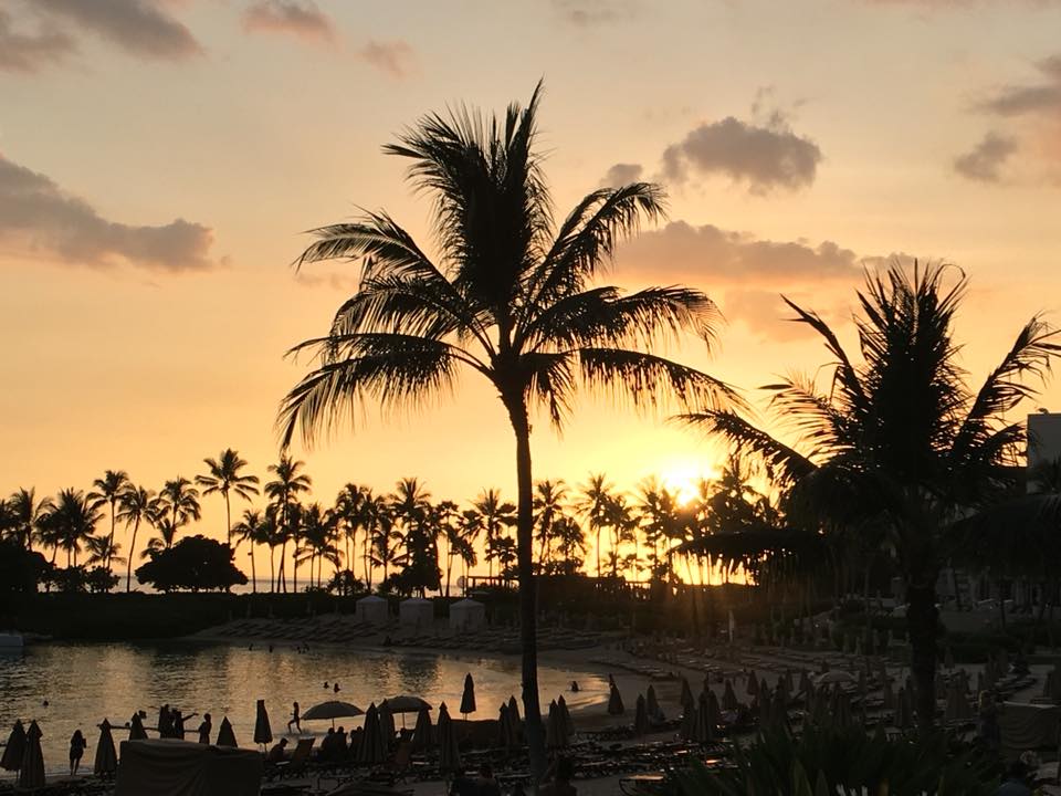 32720209_10211584511710091_6116459851037016064_n