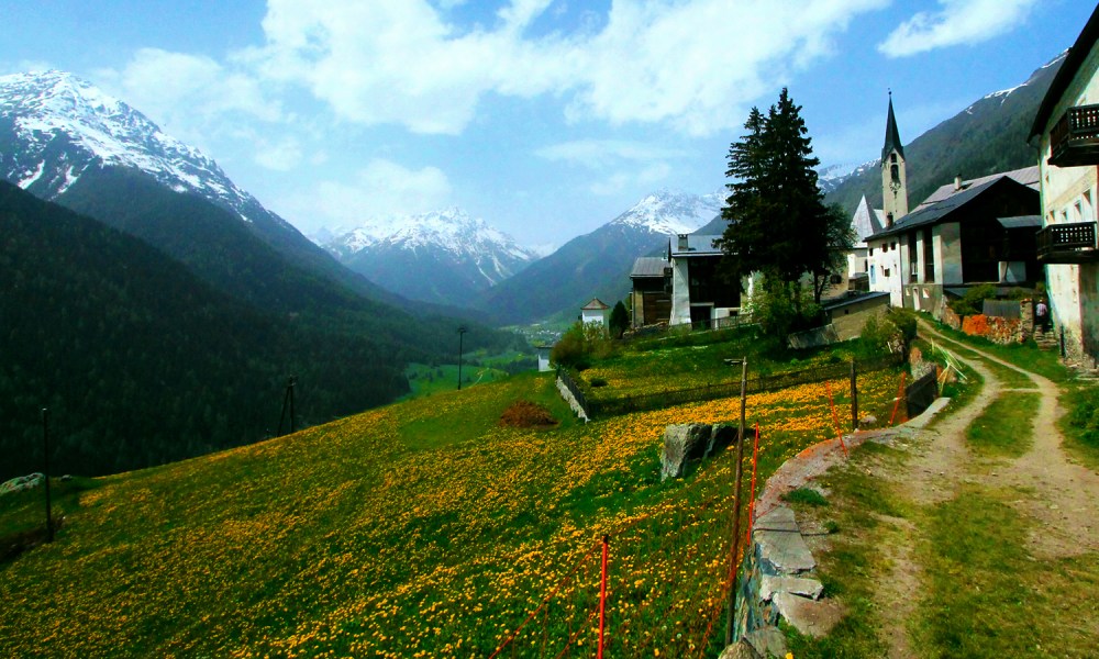 2014-11-05-IMG_7347a