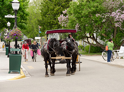 USMCDE01_MyCruise_tcm40-150629