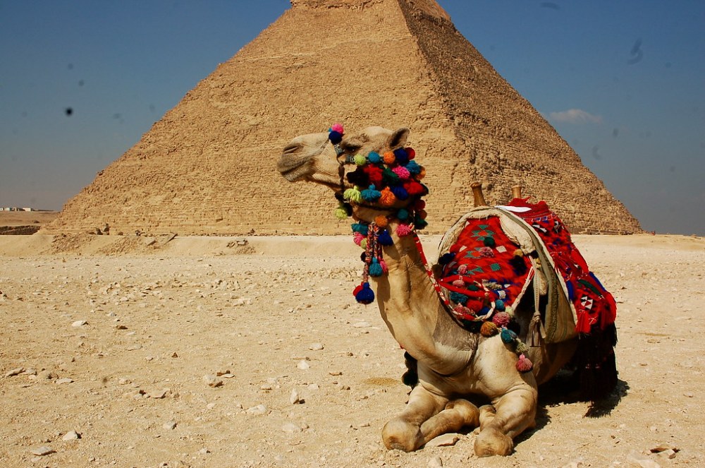 2275576546_d18b223d78_b