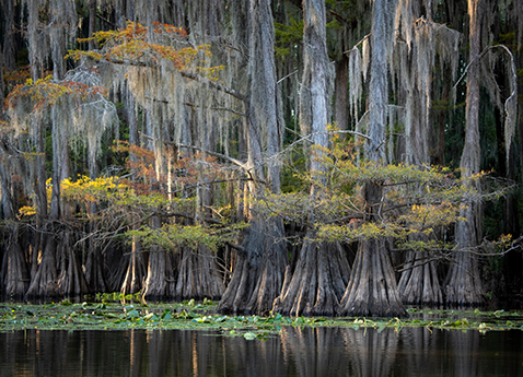 IBK-5084977 - © - imageBROKER/Sonja Jordan