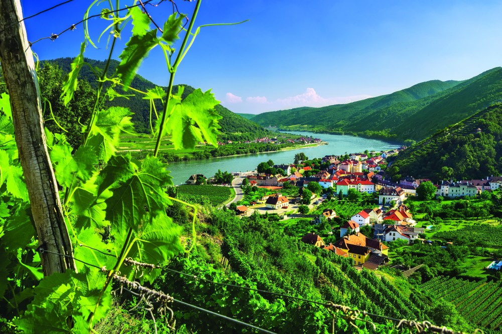 DANUBE_AT_Spitz-200124-023400